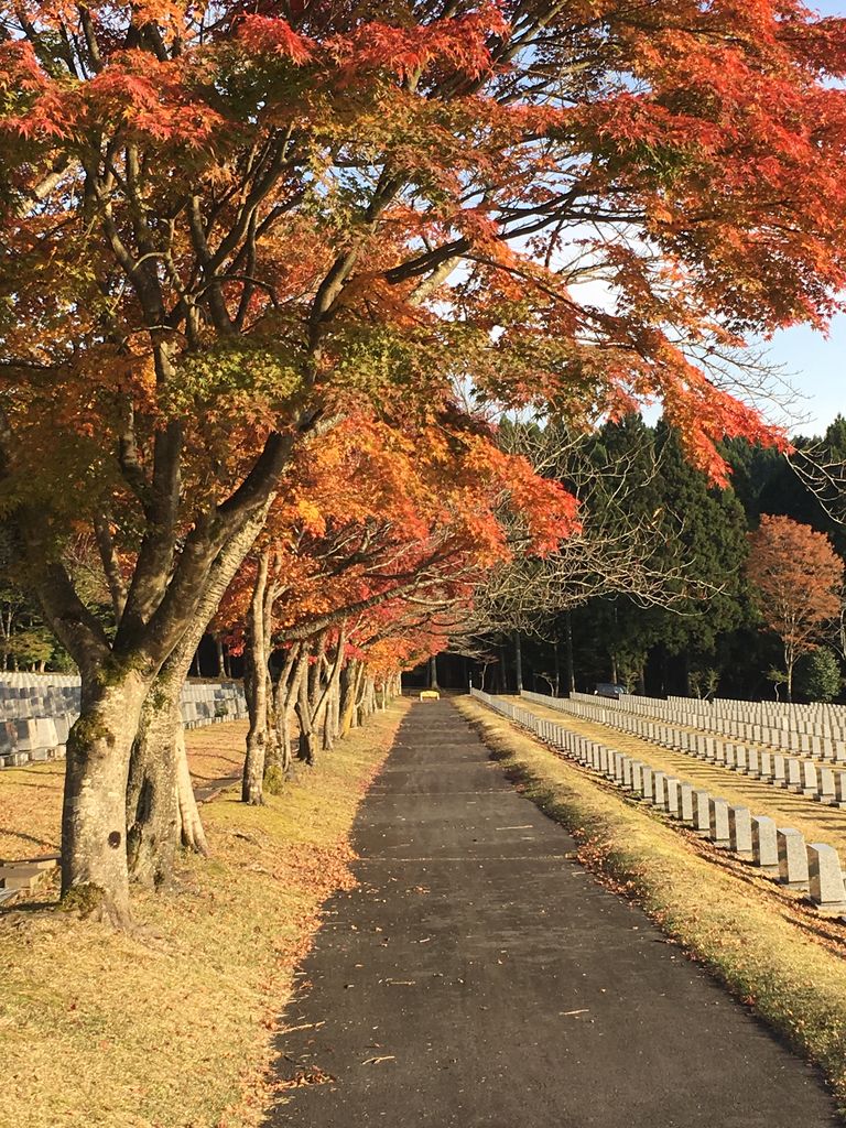 富士桜自然墓地公園 ｂ1クラブの釣行日誌