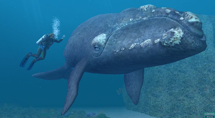 海 深海にまつわる超怖い画像や話 備忘録b2s 海 深海にまつわる超怖い画像や話 備忘録b2s