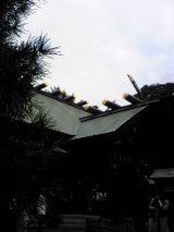 258dcd7d.jpg