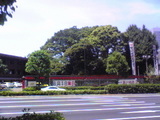 ed94466f.jpg