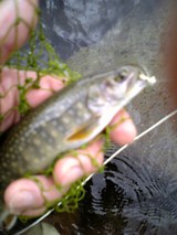 ������������ʼ̿�