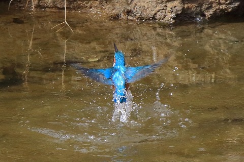 s-IMG_5028