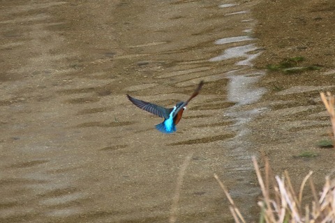 s-IMG_1769