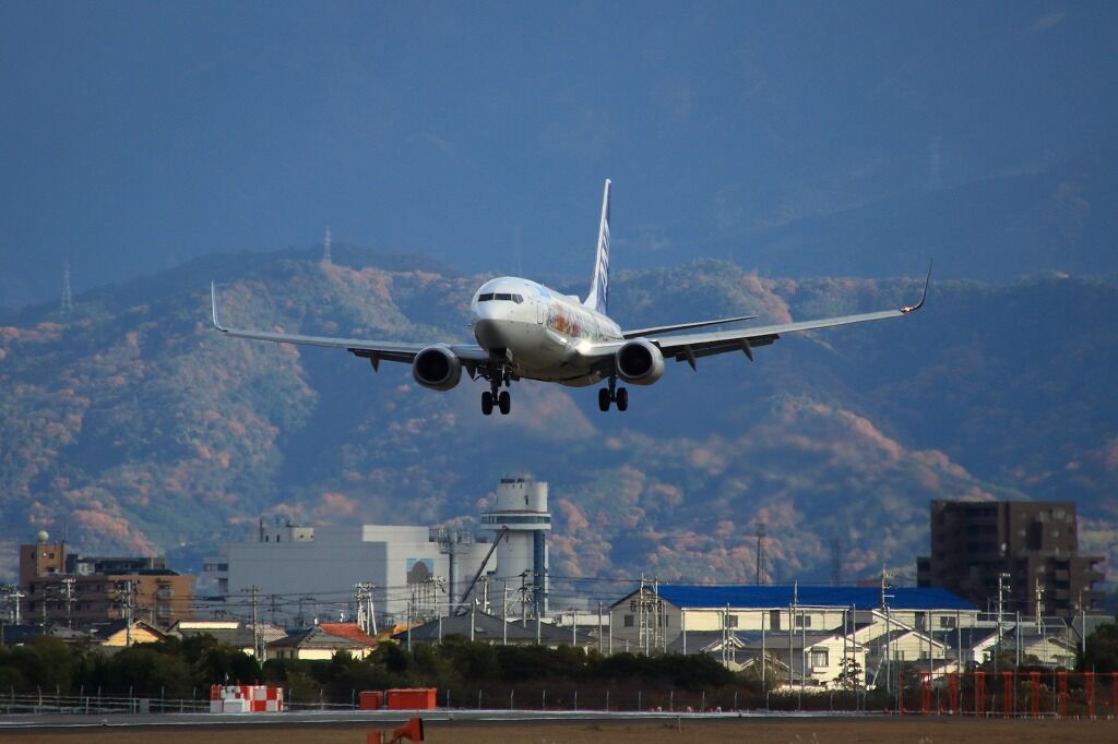 Ana 沖縄便 松山空港からこんにちは