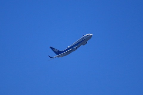 Ana 沖縄便 松山空港からこんにちは Ana 沖縄便 松山空港からこんにちは