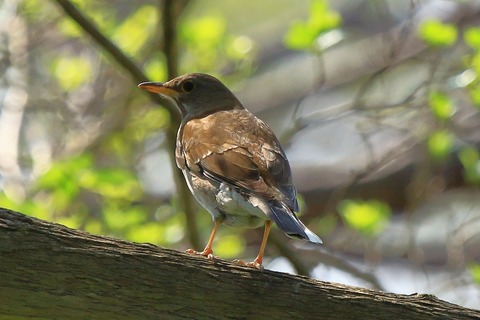 s-IMG_4869