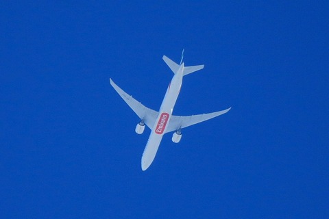 s-IMG_2906