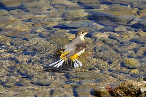 s-IMG_6675