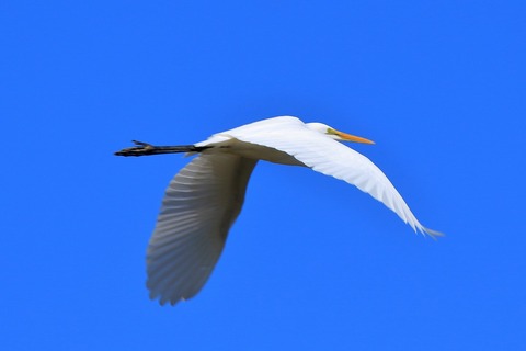 s-IMG_4680