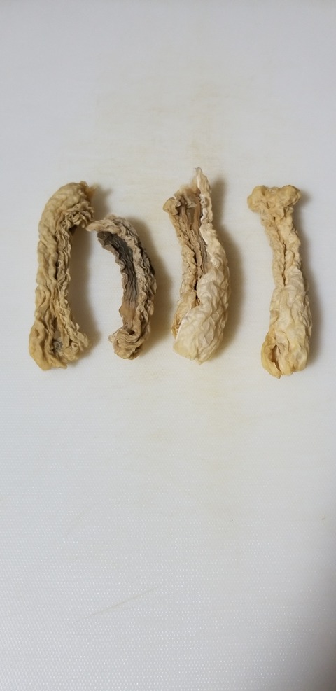 20190101_102536