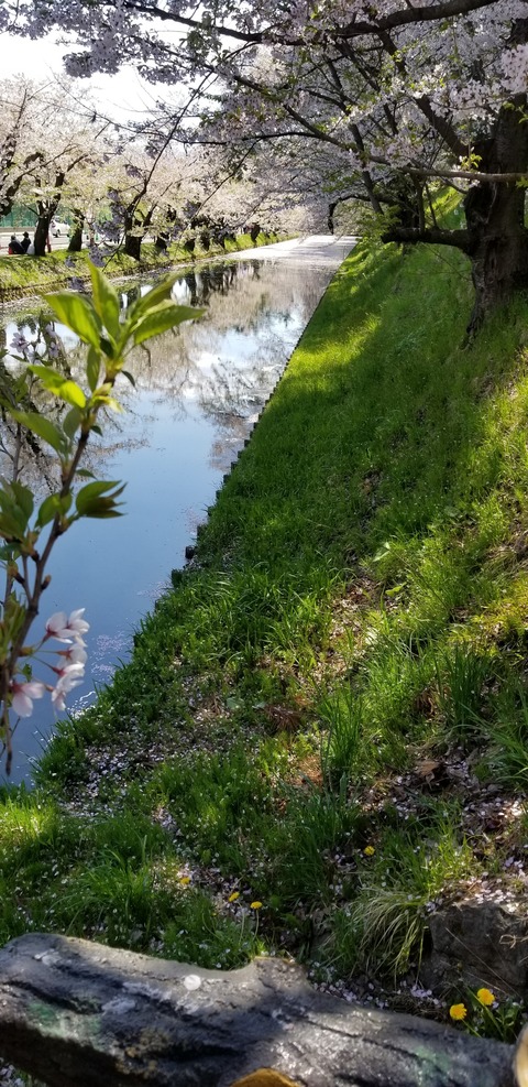 20190429_124440