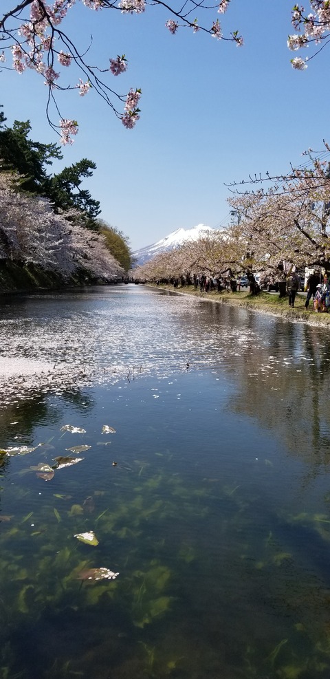 20190429_121928
