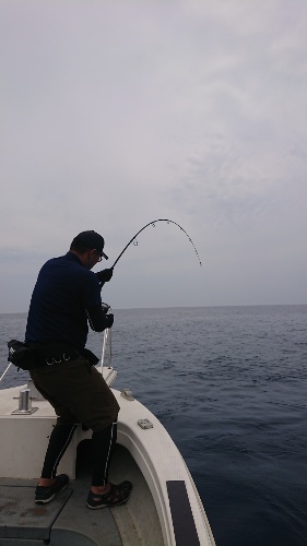 夢叶ぅ 韋駄天 Idaten