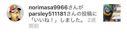 ノリマサ いいね