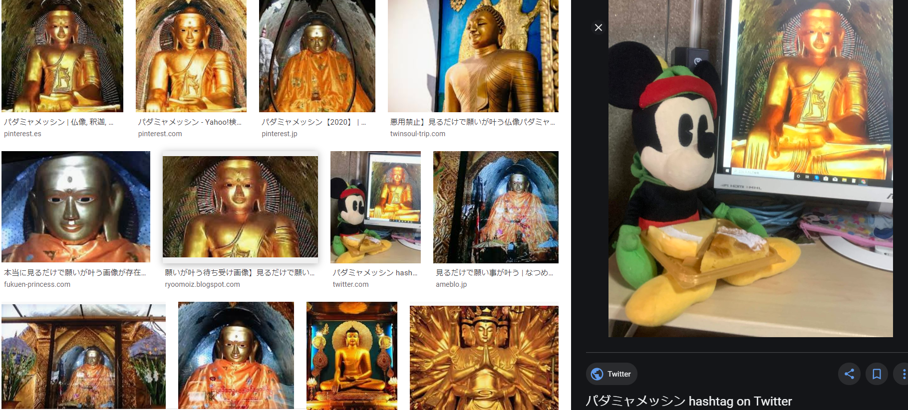 パダミャメッシン様 奥園アリスの日記 パダミャメッシン様 奥園アリスの日記