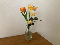 IMG_0974