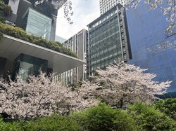 IMG_3395