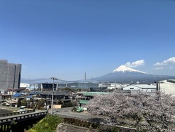 IMG_3388