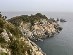 E756862D-D93D-46F2-952B-F867BD63A465_1_105_c