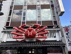 IMG_3348