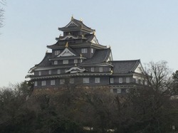 IMG_0356