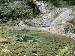 IMG_1515