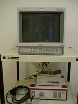 1cdc183d.JPG