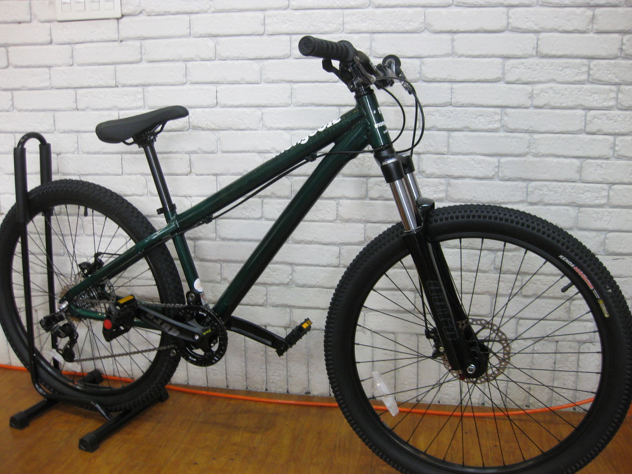 mongoose dirt