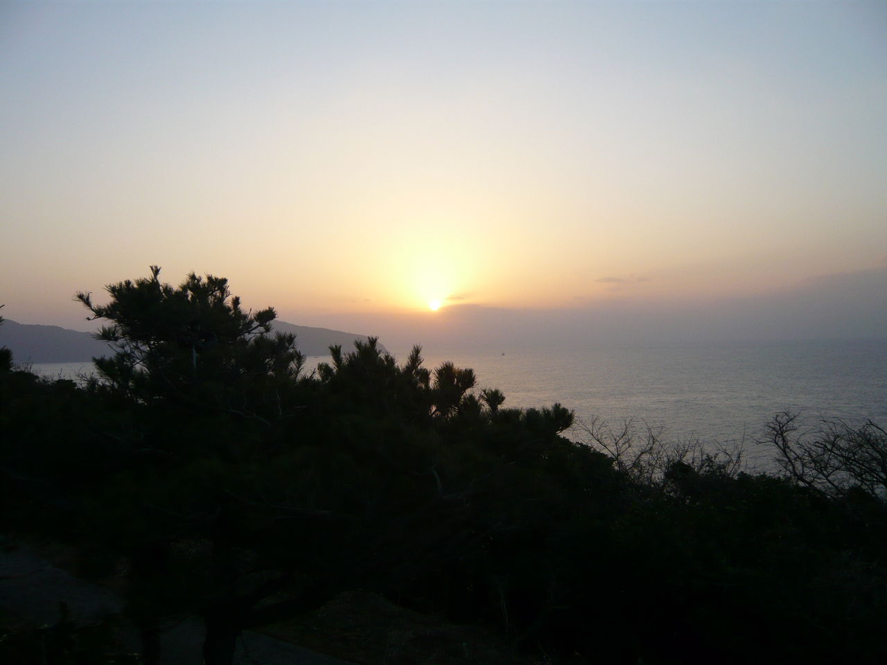 対馬 美女村オソロシドコロ２ 漫画家 桜壱バーゲン 櫻井稔文 のブログ