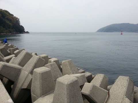 20160409_113259
