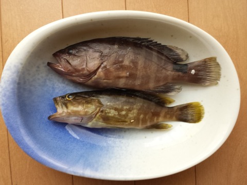 20160730_121248