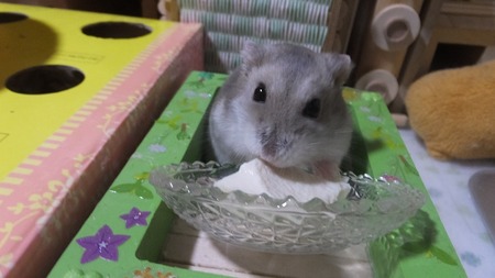 2019.5.16とう-5