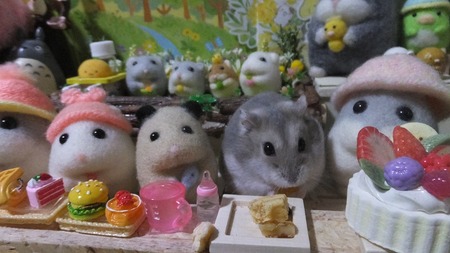 2019.4.25ミル1歳-4
