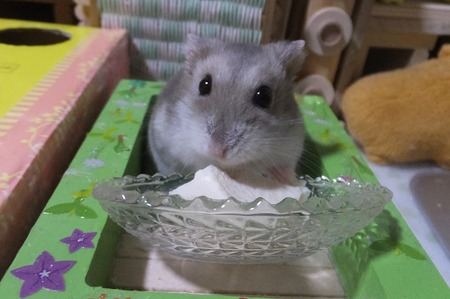 2019.5.16とう-2