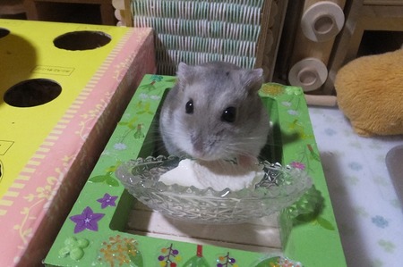 2019.5.16とう-6
