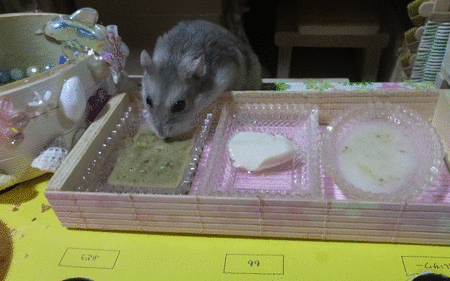 2019.12.30GIF
