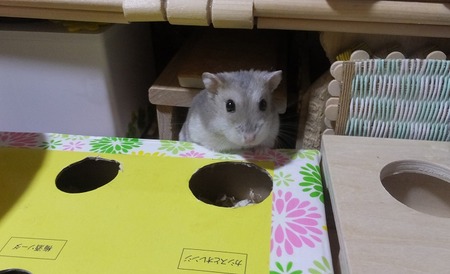2019.6.23じ~3