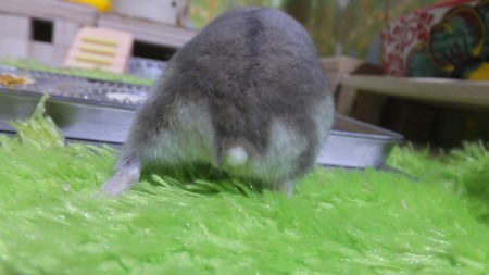 2018.8.12し-5