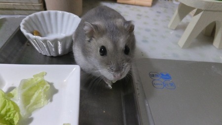 2018.10.3な-3