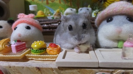 2019.6.28はむず-10