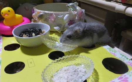 2019.12.30GIF