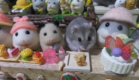 2019.4.25ミル1歳-3