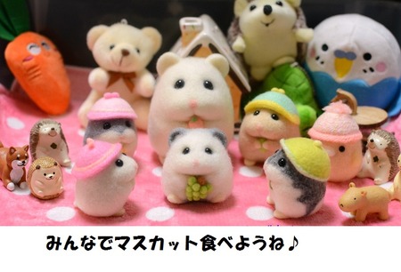 2020.11.22おぼちゃん-2