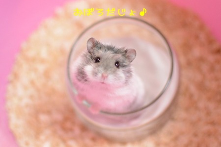 2020.11.21おぼろ-2