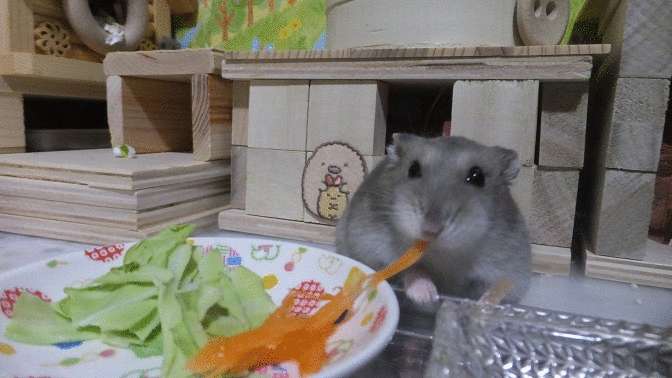 gif 18 7月 8月分 ちっこい姫様 gif 18 7月 8月分 ちっこい姫様