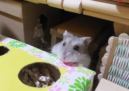 2019.6.23じ~♪