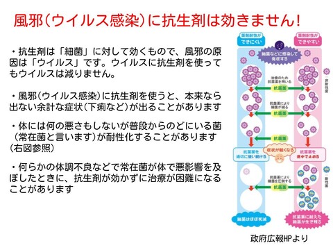 耐性菌