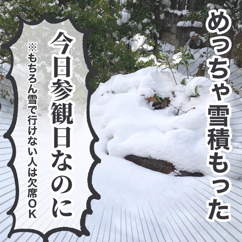 無題3153