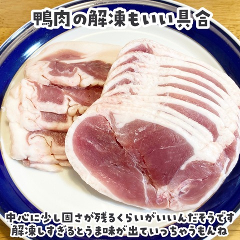 無題4202