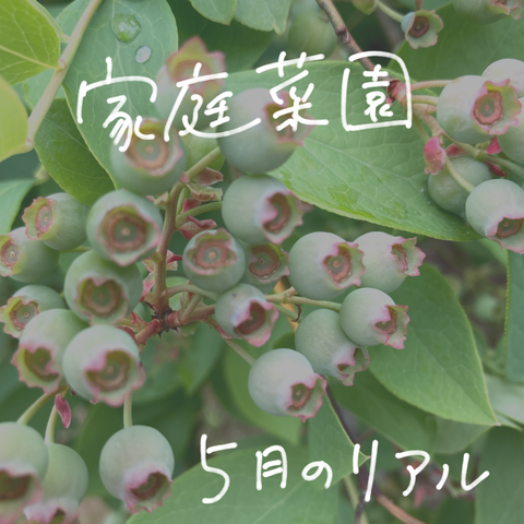 無題2775